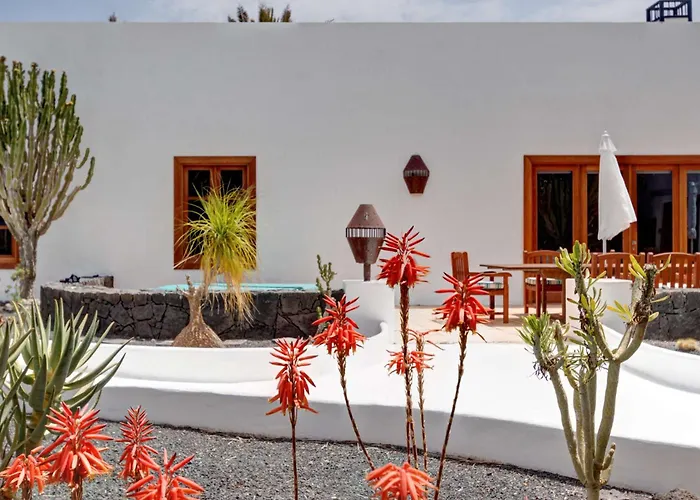 El Cactus تيغيسي