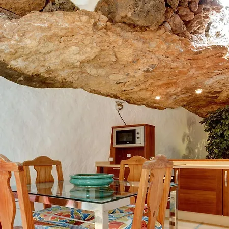 El Cactus * 테기세